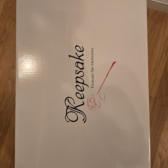 Michelangelo wedding dress size 6 - Picture 11 of 13